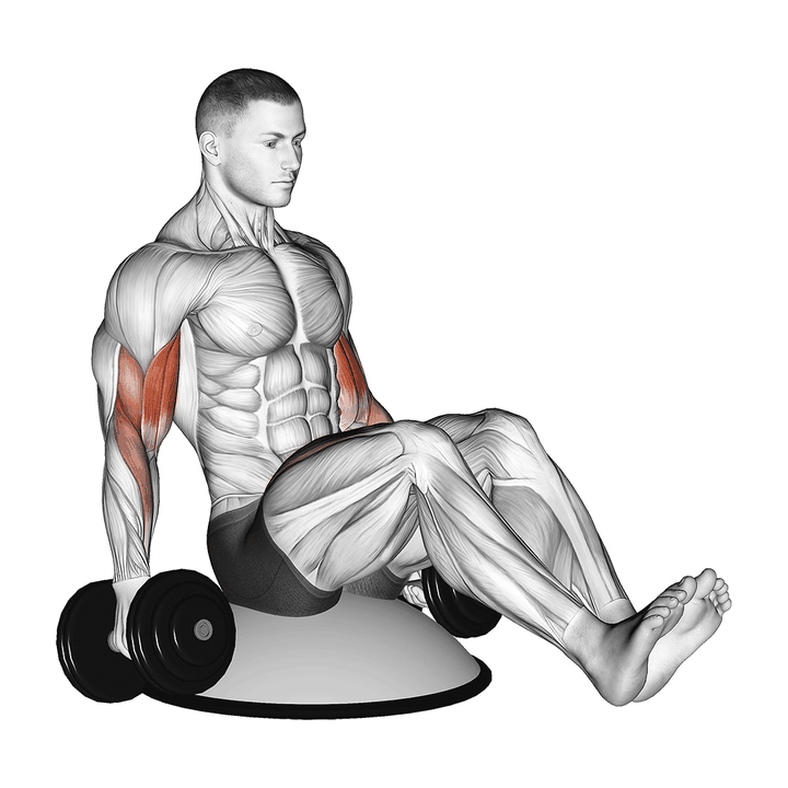 Demonstration of the dumbbell biceps curl v sit on bosu ball