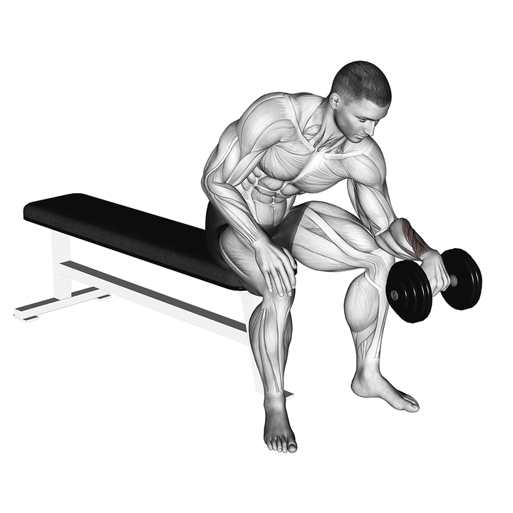 Demonstration of the dumbbell one arm reverse wrist curl