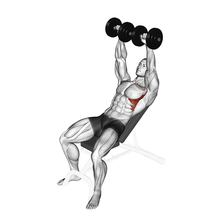 Demonstration of the balance style dumbbell incline shoulder raise