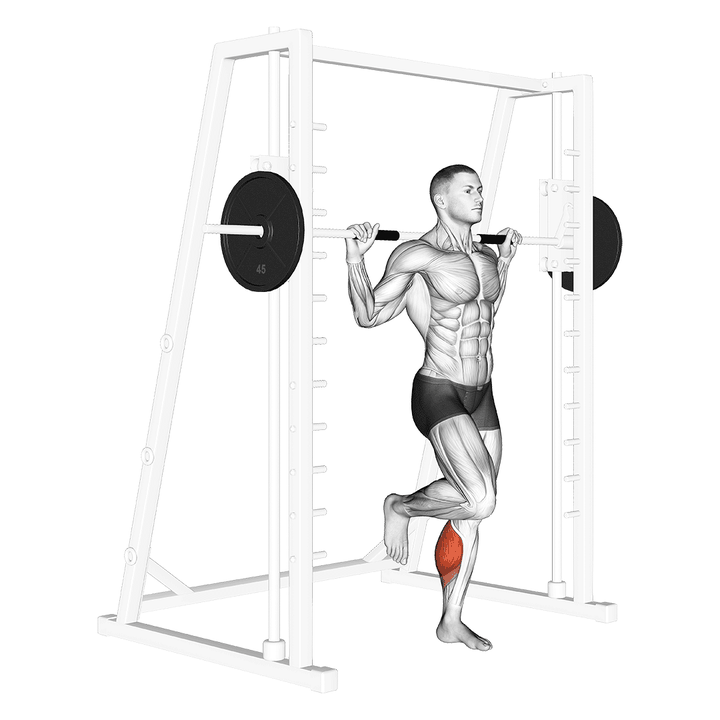 Demonstration of the smith one leg floor calf raise