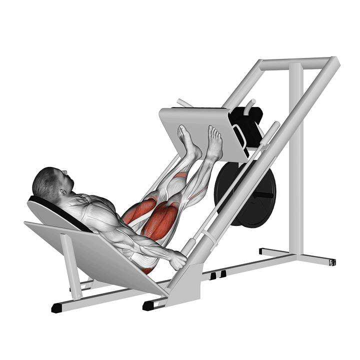 Demonstration of the 45-degree leg press