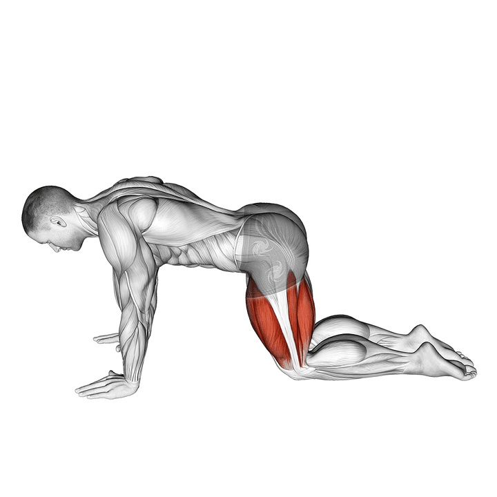 Demonstration of the all fours squad stretch