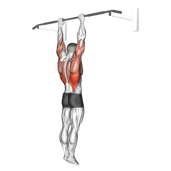 Demonstration of the shoulder grip pull-up