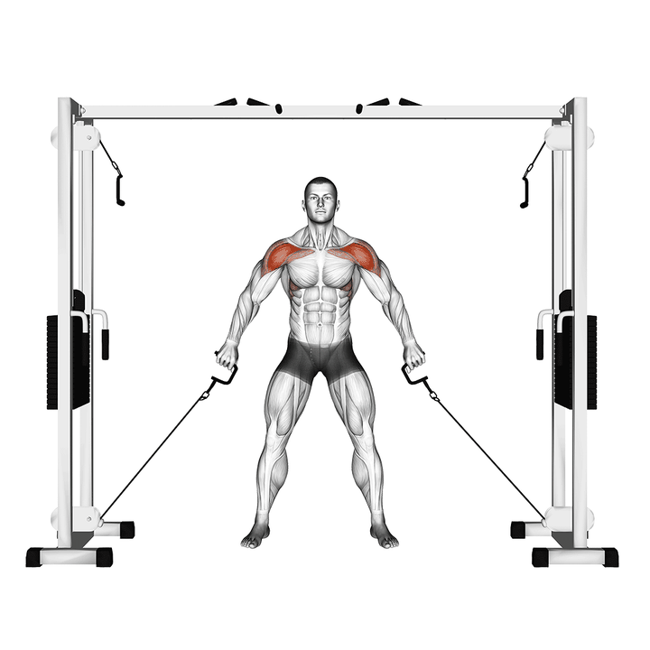 Demonstration of the cable front shoulder raise