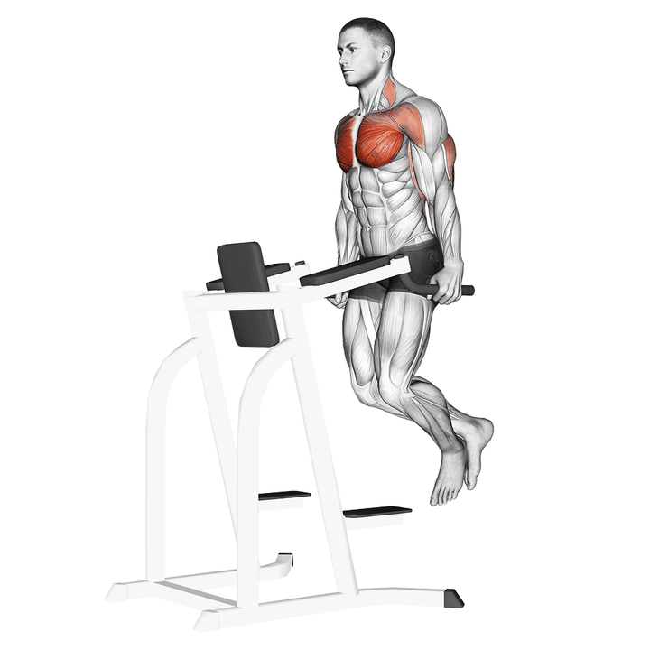 Demonstration of the chest dip