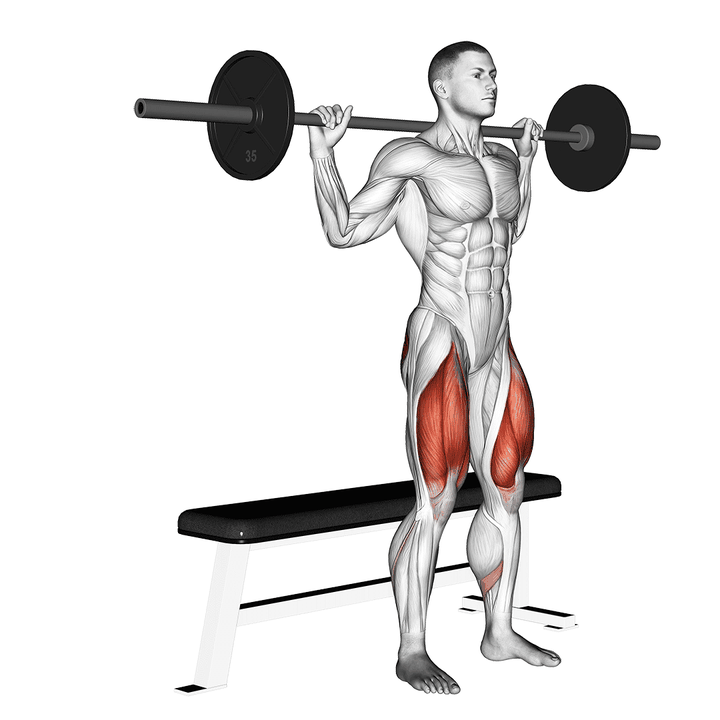 Demonstration of the barbell bench squat