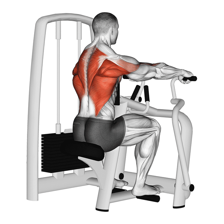 Demonstration of the lever seated row - optimal variation