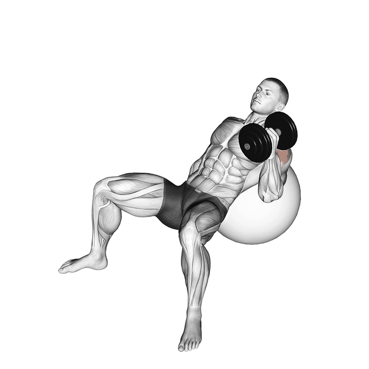 Demonstration of the dumbbell incline one arm hammer press on exercise ball