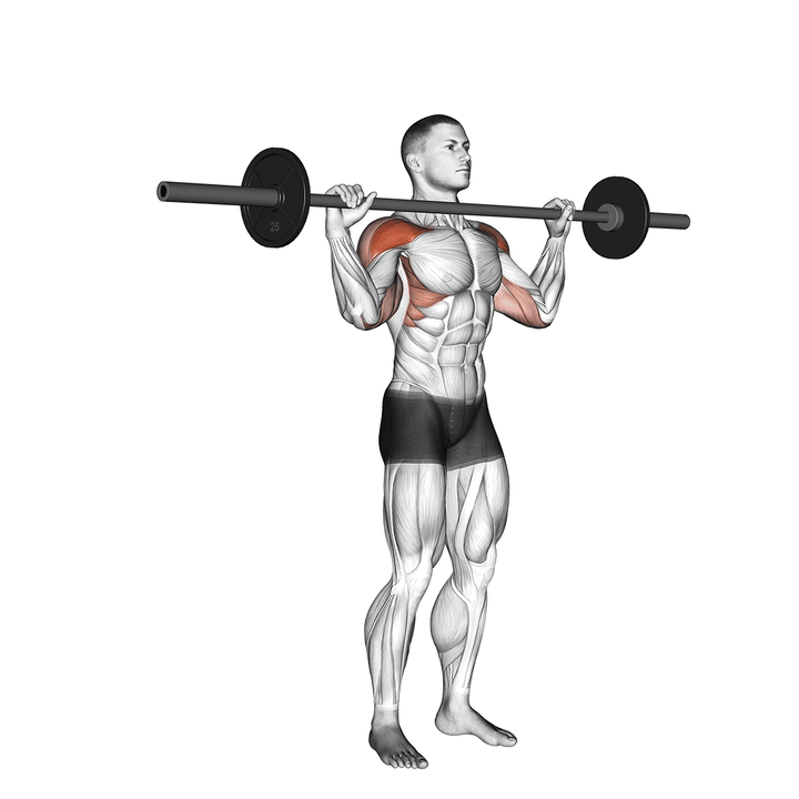 Demonstration of the barbell standing bradford press