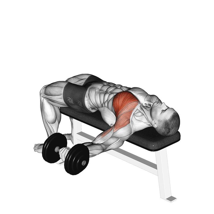 Demonstration of the dumbbell one arm bench fly