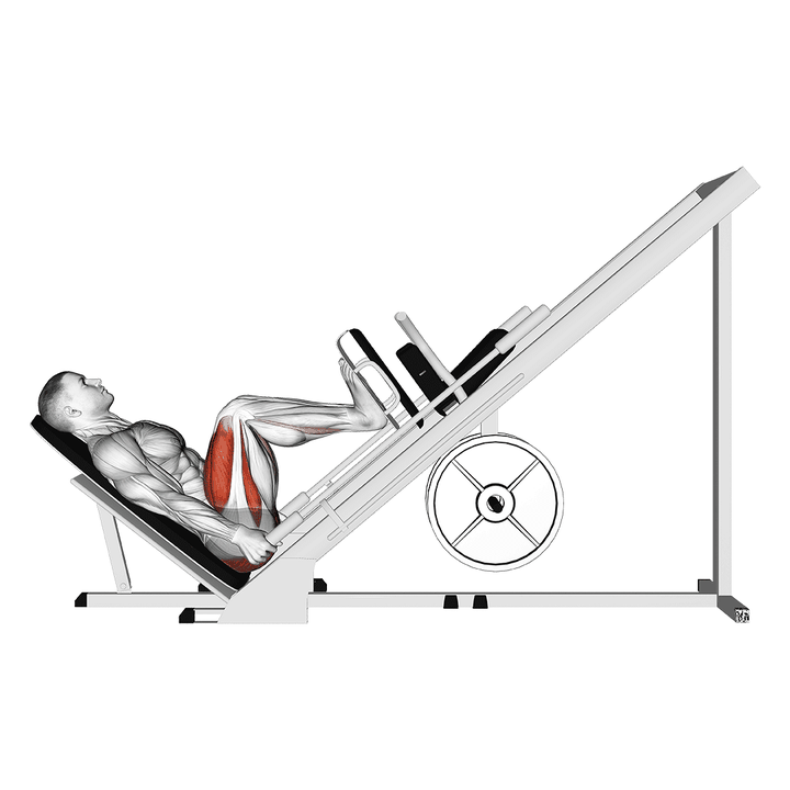 Demonstration of the sled 45ã‚â° leg press (side pov)