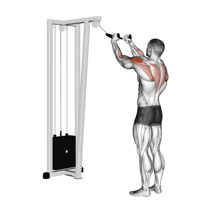 Demonstration of the cable rear delt row (with rope)