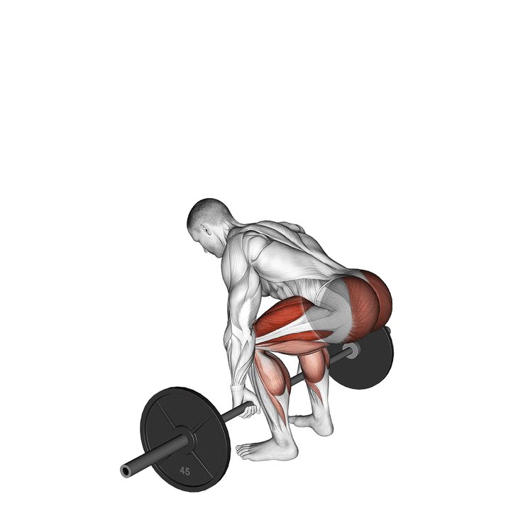 Demonstration of the barbell deadlift