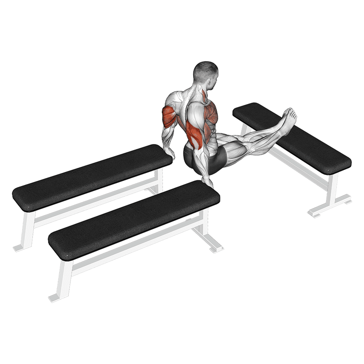 Demonstration of the three bench dip