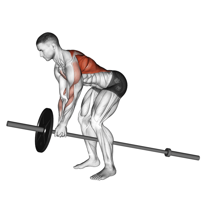 Demonstration of the lever bent over row