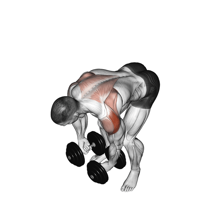 Demonstration of the dumbbell rear lateral raise