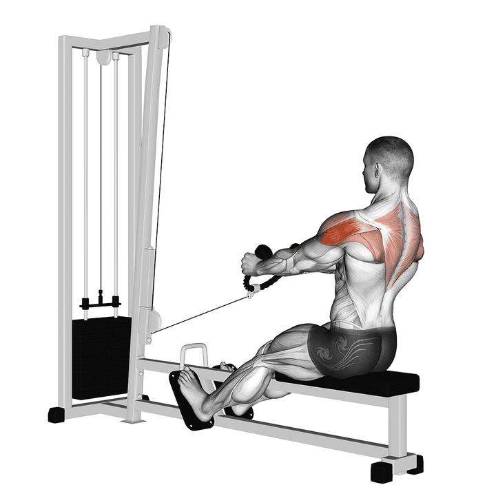 Demonstration of the cable rear delt row (stirrups)