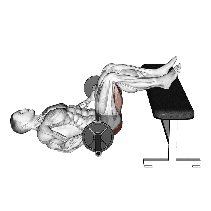 Demonstration of the barbell glute bridge two legs on bench (male)