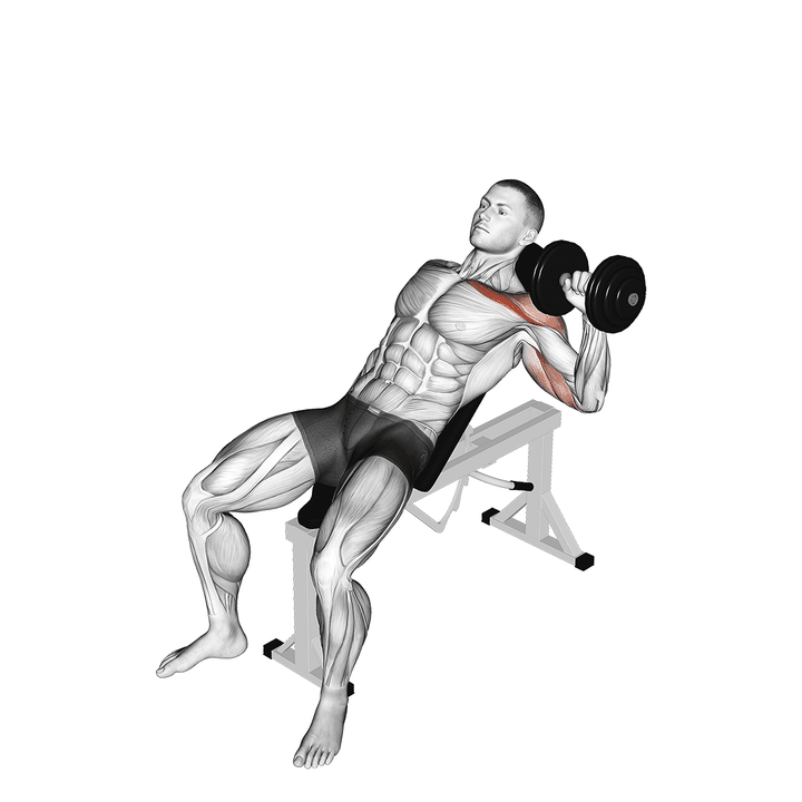 Demonstration of the dumbbell incline one arm press