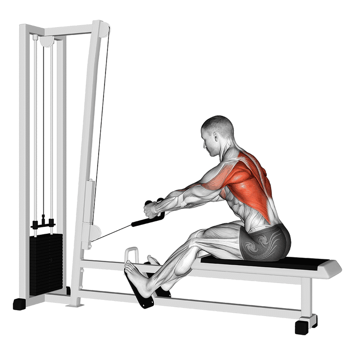 Demonstration of the cable rope elevated seated row