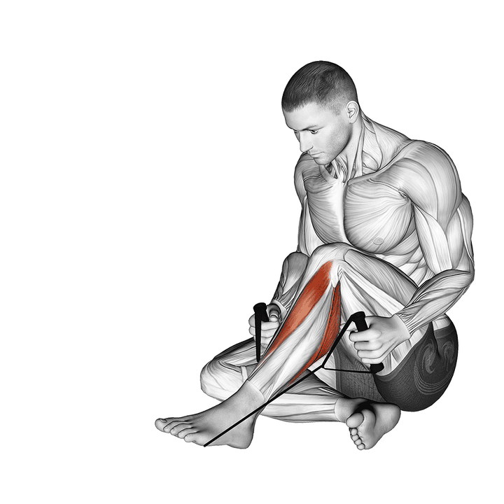 Demonstration of the posterior tibialis stretch