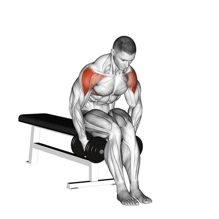Demonstration of the dumbbell seated bent arm lateral raise