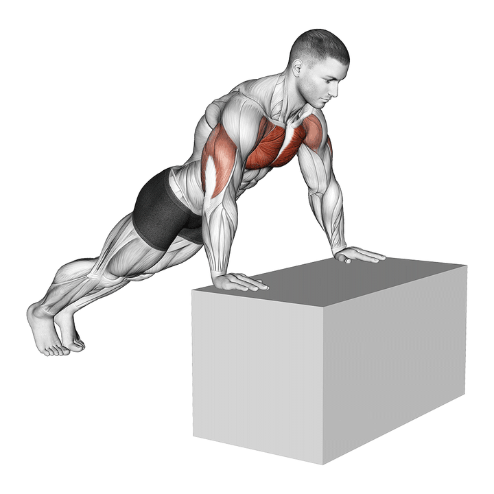 Demonstration of the incline push-up (on box)