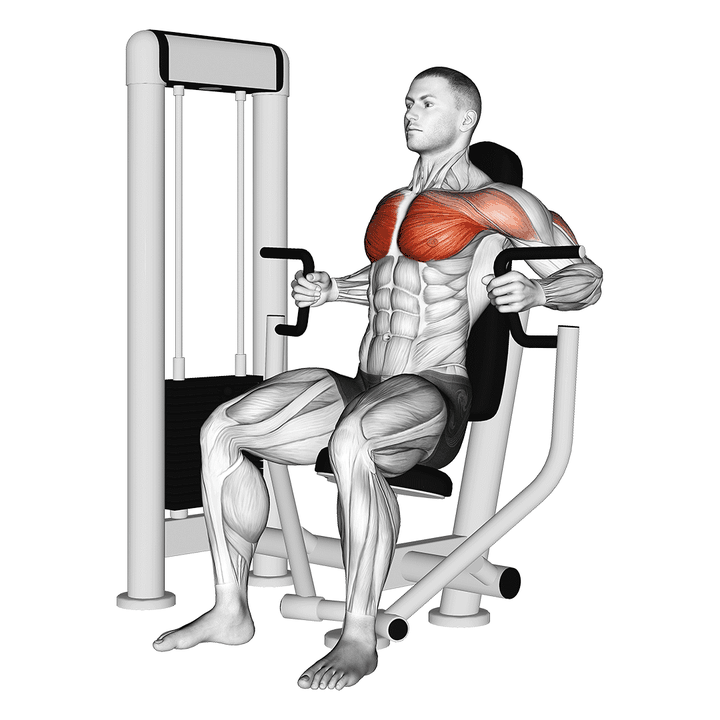Demonstration of the machine inner chest press
