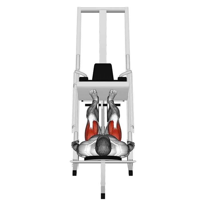 Demonstration of the sled 45ã‚â° leg press (back pov)
