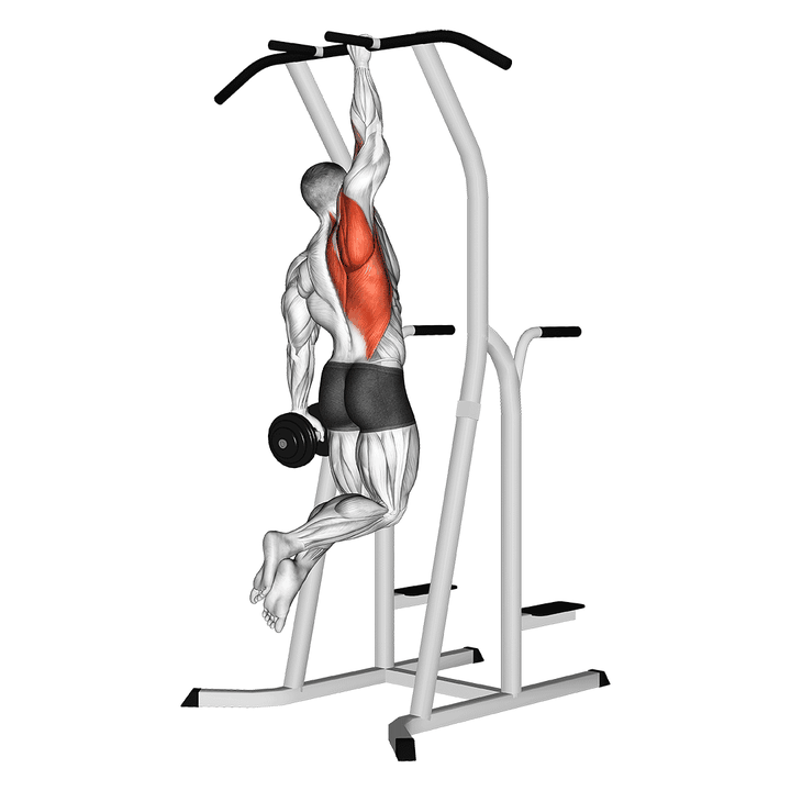 Demonstration of the weighted one hand pull up
