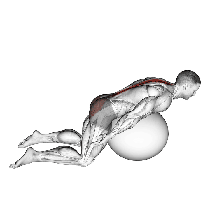 Demonstration of the exercise ball back extension with arms extended