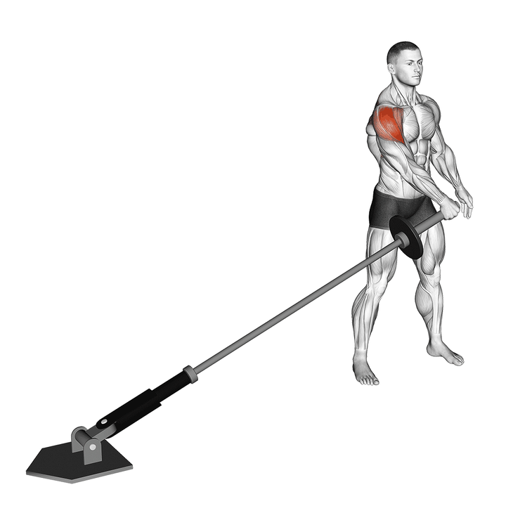 Demonstration of the landmine lateral raise
