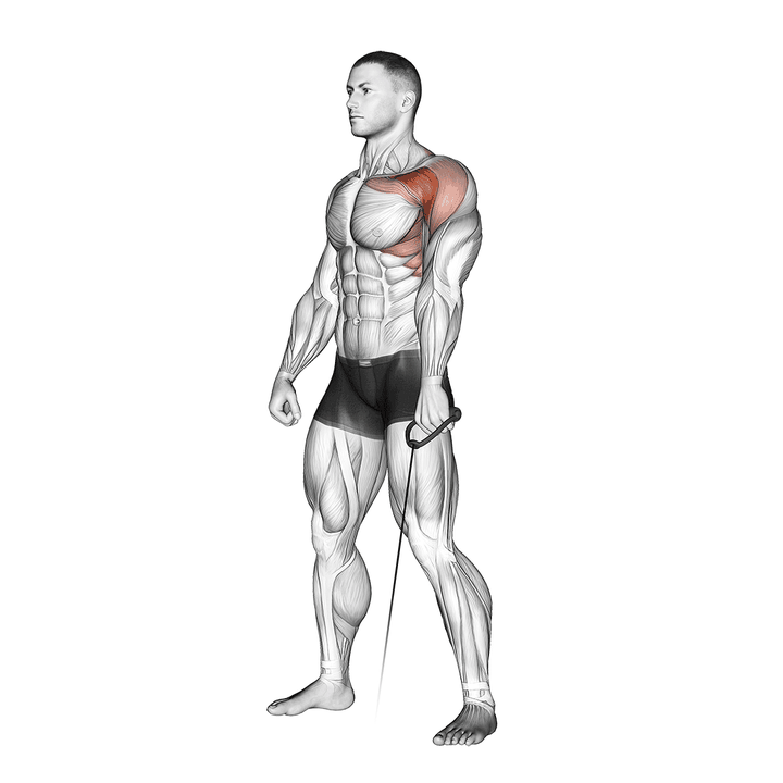 Demonstration of the cable forward raise