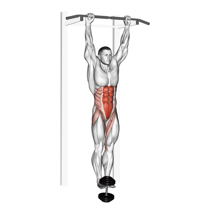 Demonstration of the weighted hanging leg-hip raise - intermediate variation