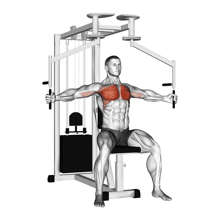 Demonstration of the lever seated fly