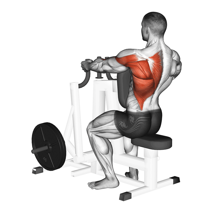 Demonstration of the lever alternating narrow grip seated row