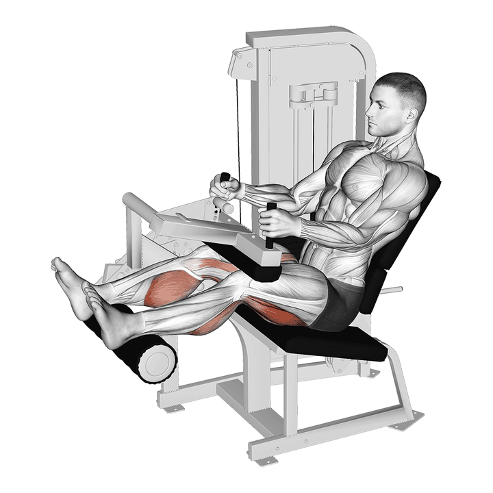 Demonstration of the lever seated leg curl