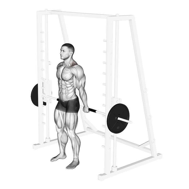 Demonstration of the smith back shrug