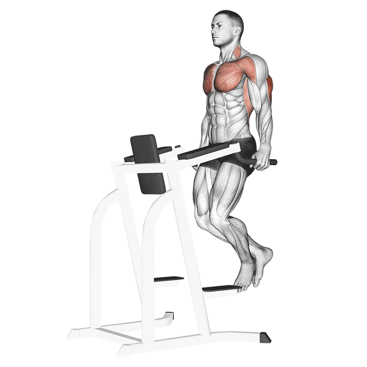 Demonstration of the triceps dip