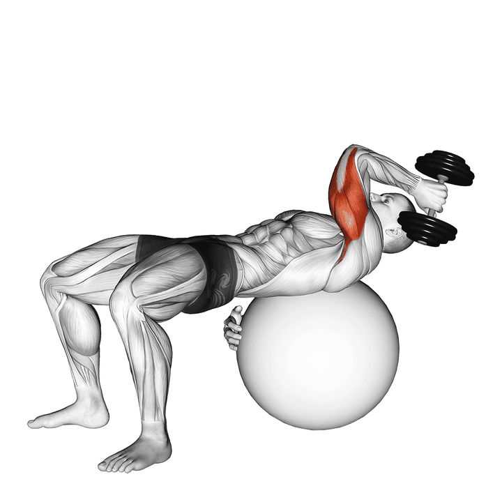 Demonstration of the dumbbell one arm french press on exercise ball