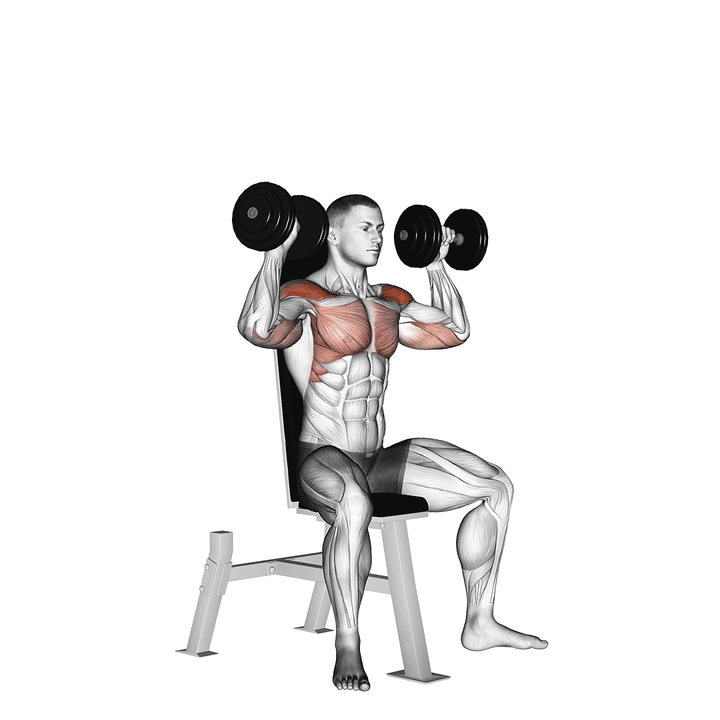 Demonstration of the dumbbell seated shoulder press
