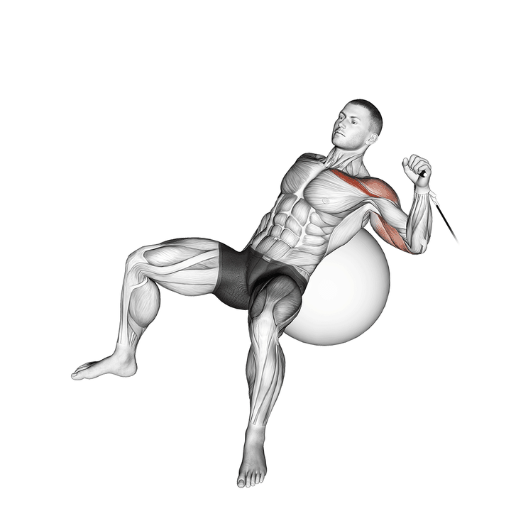 Demonstration of the cable one arm incline press on exercise ball