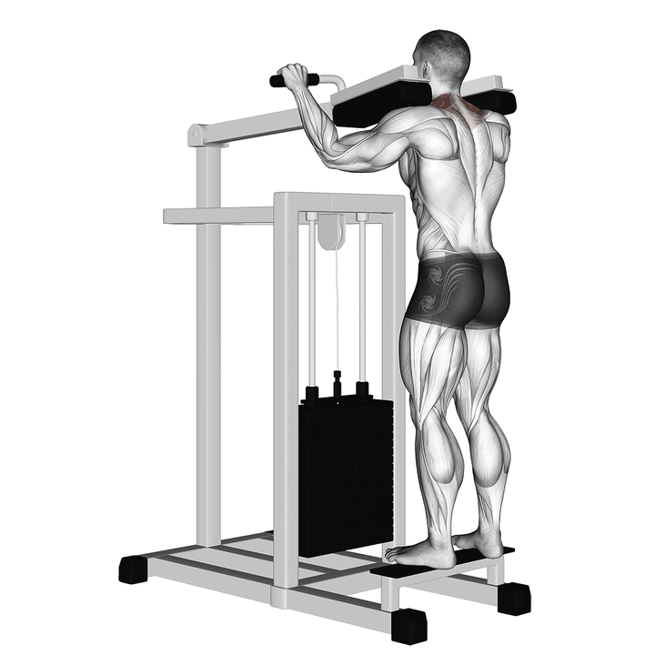Demonstration of the lever gripless shrug