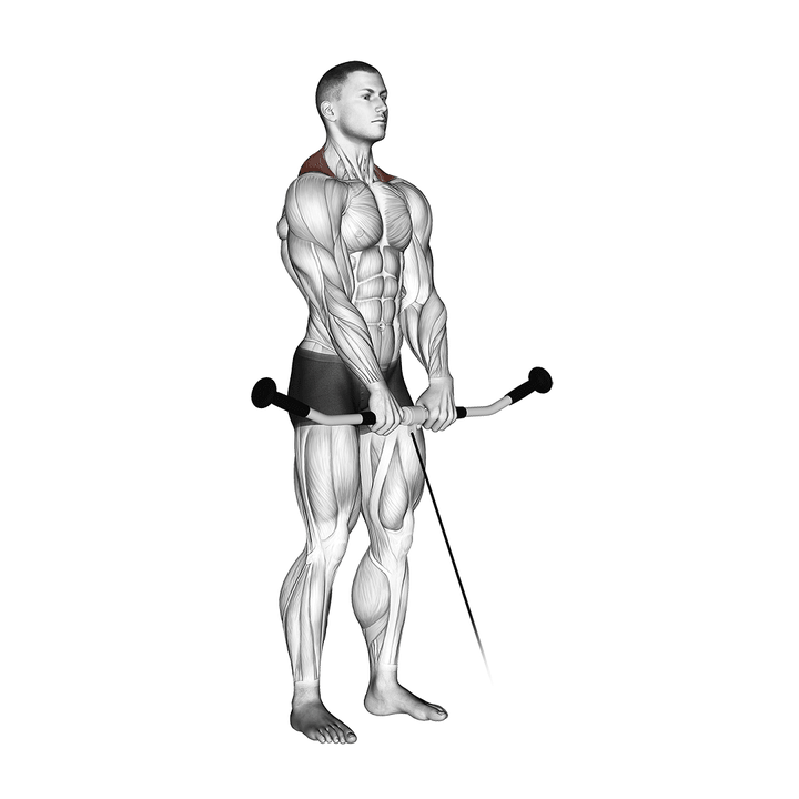 Demonstration of the cable shrug
