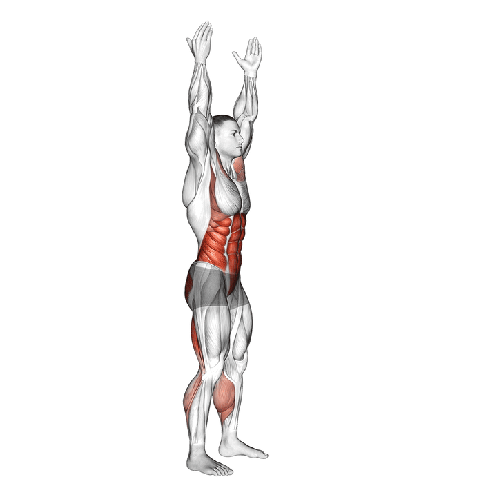Demonstration of the arms apart circular toe touch (male)