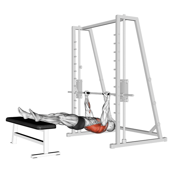 Demonstration of the inverted row on bench
