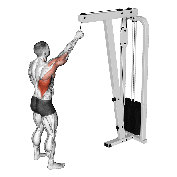 Demonstration of the cable one arm pulldown