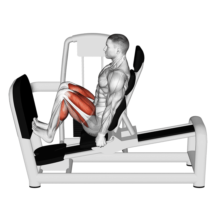 Demonstration of the lever seated squat calf raise on leg press machine blunt