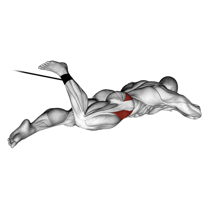 Demonstration of the band lying hip internal rotation