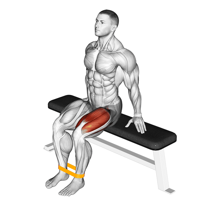 Demonstration of the resistance band leg extension